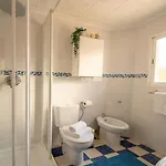 En Con Wifi Rapido * Vecindario (Gran Canaria)